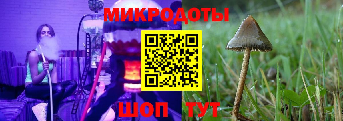 Псилоцибиновые грибы Cubensis  Вход с VPN  Ивантеевка 